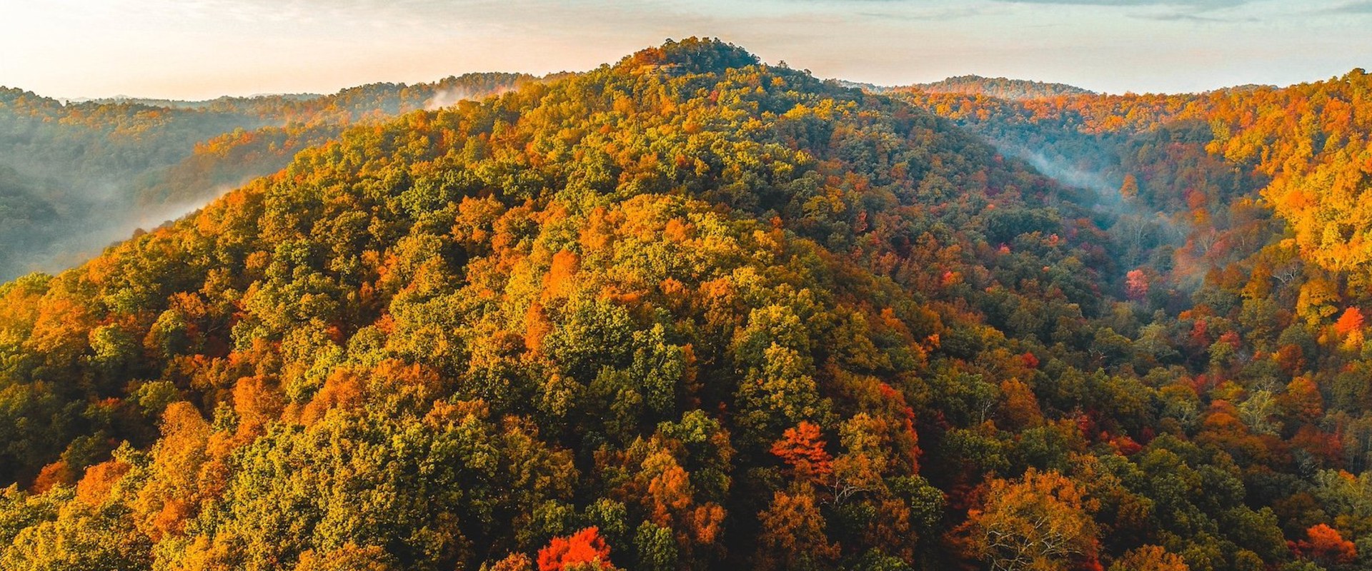 The Future of Environmental Conservation in Northern Kentucky