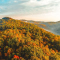 The Future of Environmental Conservation in Northern Kentucky