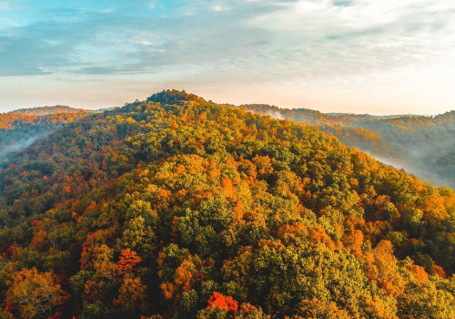 The Future of Environmental Conservation in Northern Kentucky